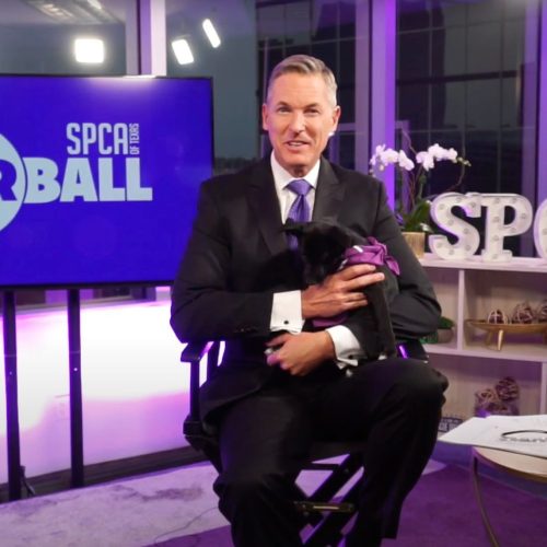 Podcasts Develop Your Brand - Candid Live Stream Photo of SPCA Fur Ball